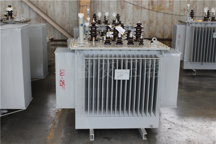 泰安S20-800kVA/10kV/0.4kV变压器